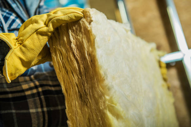 Best Cellulose Insulation in Winchester, NV